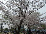 SW_n 033.JPG