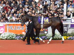 SW_n 048.JPG