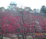 2006N2270030.jpg