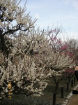 2006N2270031.jpg