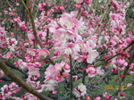 2006N2270032.jpg