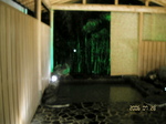 2006N7300161.01.jpg