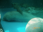 2006年7月30日0187.01.jpg